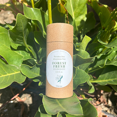 Forest Fresh Deodorant